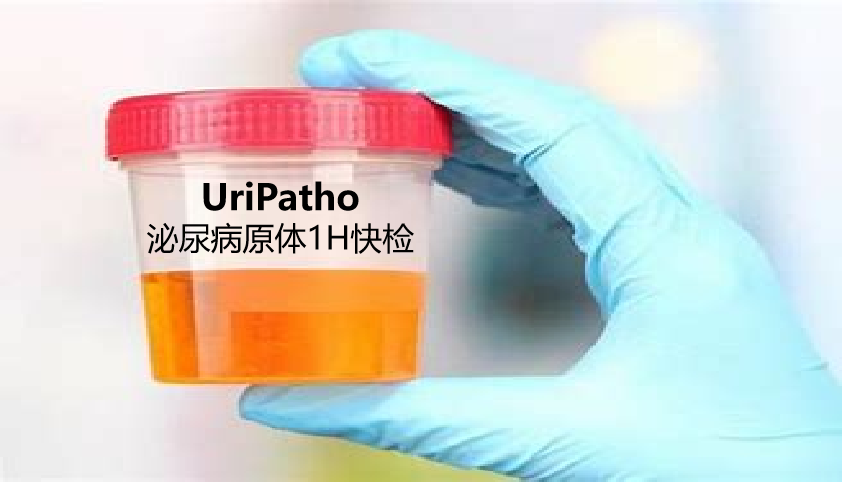 uriPatho，泌尿感染病原谱