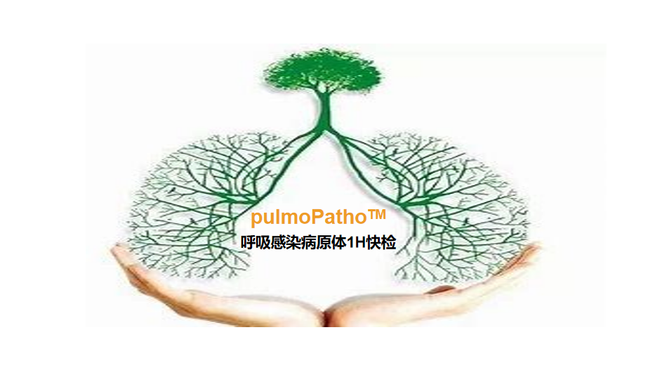 pulmoPatho，呼吸感染病原谱