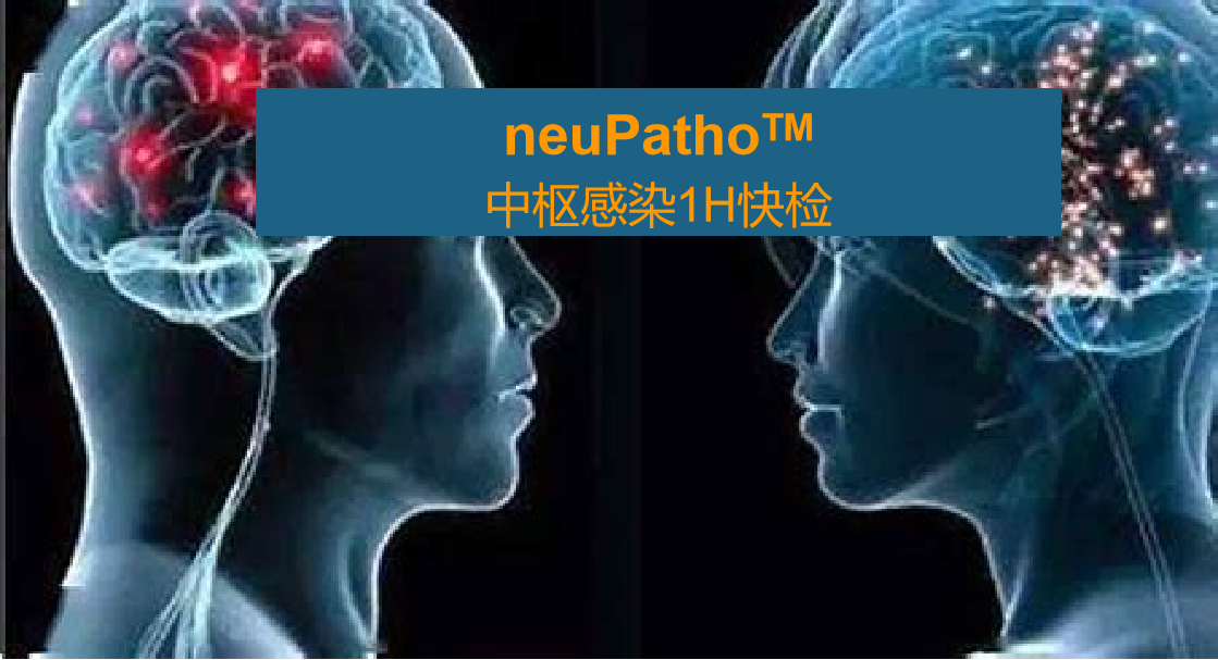 neuPatho，中枢感染病原谱