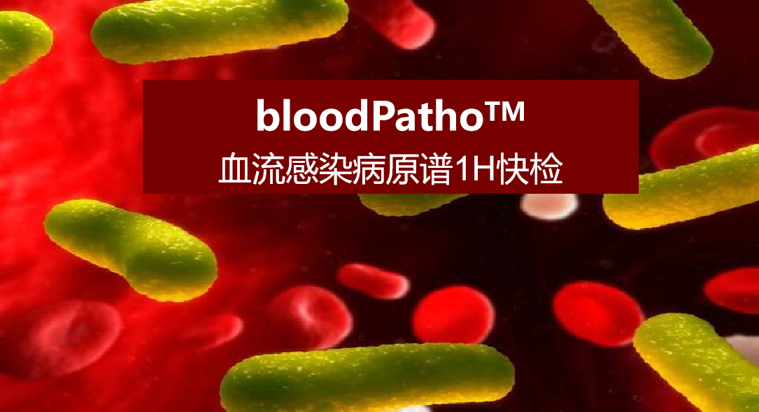 bloodPatho，血流感染病原谱