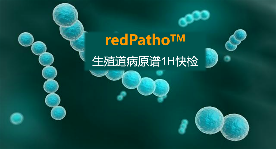 redPatho，生殖道感染病原谱