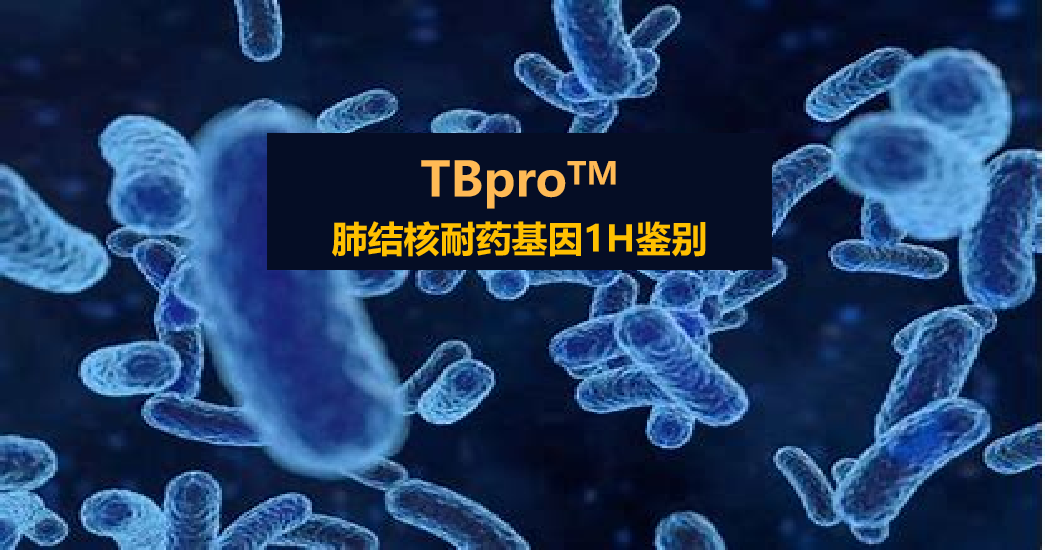TBpro，结核菌耐药谱