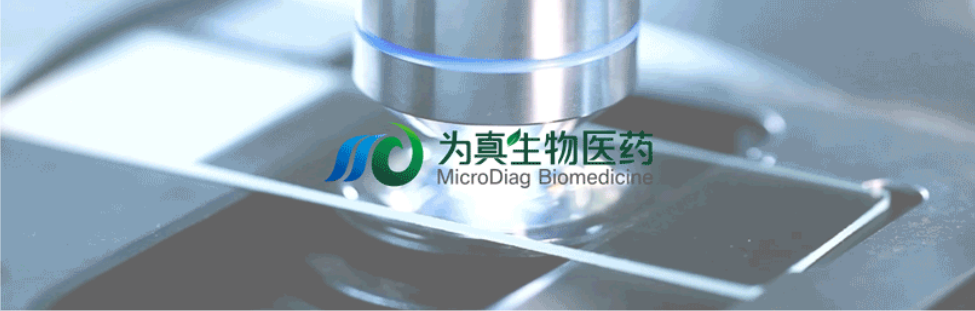 王莹院长领衔，王弢博士技术负责的研发项目获浙江省2024年度“尖兵”“领雁”研发攻关计划项目立项